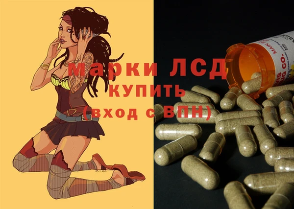 стаф Абинск