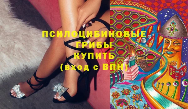 МДПВ Алексеевка