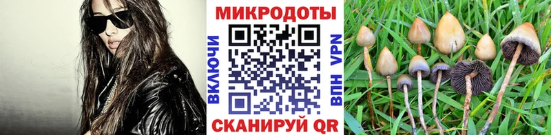 darknet как зайти  Томари  Псилоцибиновые грибы MAGIC MUSHROOMS  наркота 