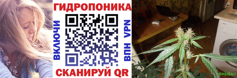гидра ссылка  Томари  Шишки марихуана гибрид 